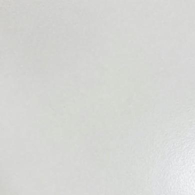 T15 EVA Minimal White 12x24