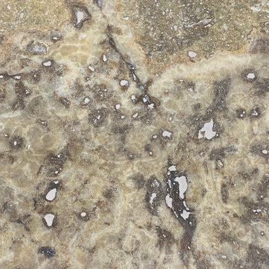 18 x 18 Jerusalem Scabos Travertine 2366