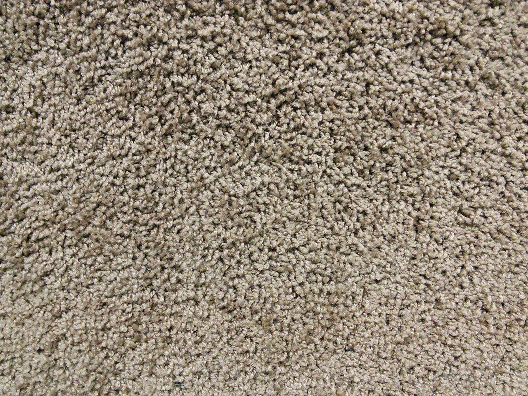 SP1 Residential Plush Carpet #4 - CAR1011