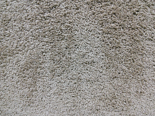 SP70 Residential Plush Carpet #4 - CAR1012