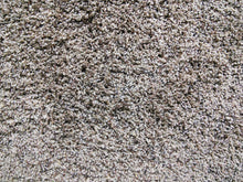 Load image into Gallery viewer, Monterey Residential Plush Carpet Timberidge - CAR1085